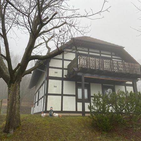 Ferienwohnung Lix direkt am Waldrand Frankenau Exterior foto